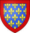 Valois (Comtes) - Wappen (ab 1285)