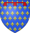 Anjou-Wappen (1246 - 1299)