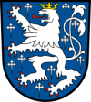 Saarbrücken (Grafen) - Wappen