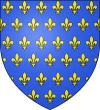 Anjou - Wappen (ab ca. 1151)