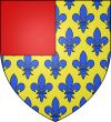Thouars (Famille) - Wappen